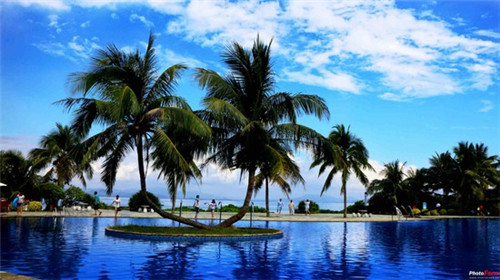 蜂蜜冷饮店，蜂蜜冰激凌加盟费多少