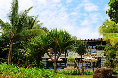 江门市开店创业镊子加盟店排行榜前十名比较火的