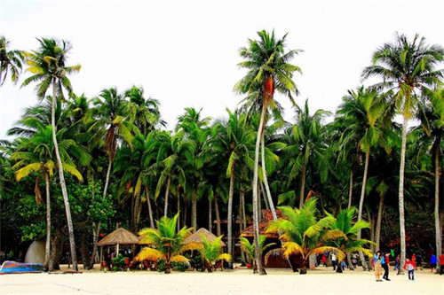 辞职创业开理发店怎么样（开理发店有前途吗）