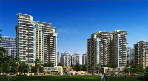 鸭口茶园风景（鸭口茶园风景图片）