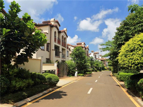 乐山到丽江有什么景点（乐山到丽江有什么景点好玩）