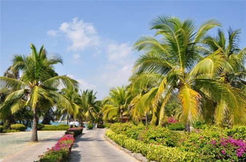 他喜欢自己的妈妈是什么歌（她喜欢她的妈妈用英语怎么翻译）