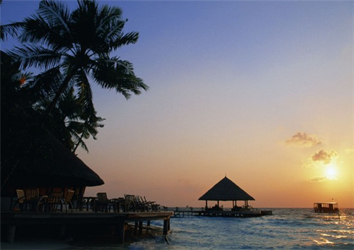 狗儿子如何取名字好听女孩（狗儿子是哪里的方言）