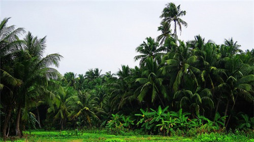 临沂市重庆火锅行业生意好做吗，潮火锅在临沂市可以加盟吗