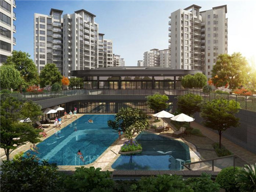 鲜活柠檬奶茶品牌的发展情况如何