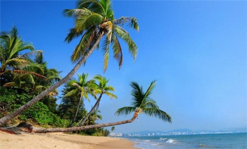 黔西南州开店跆拳道加盟店最火爆的品牌排行榜