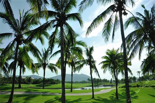 加盟慕歌奶茶亏损的多吗，加盟慕歌奶茶前景怎么样