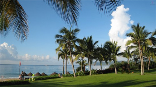 还房户不交物业吗（还房户的房子可以购买不）